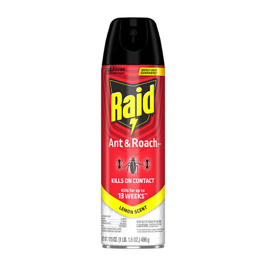 Raid Insect Spray