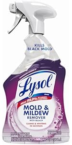 Lysol Cleaning Spray