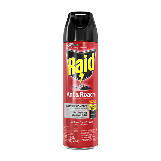 Raid Insect Spray