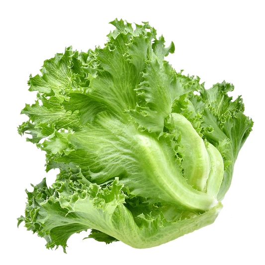 Lettuce