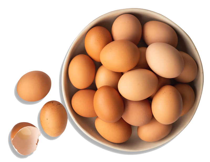 Eggs
