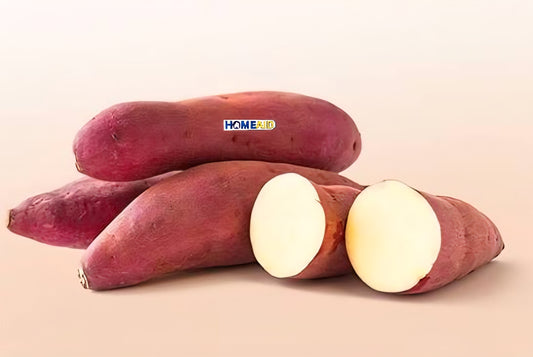 Sweet Potato