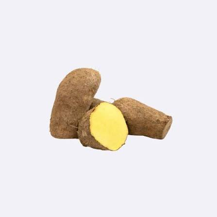 Yellow Yam