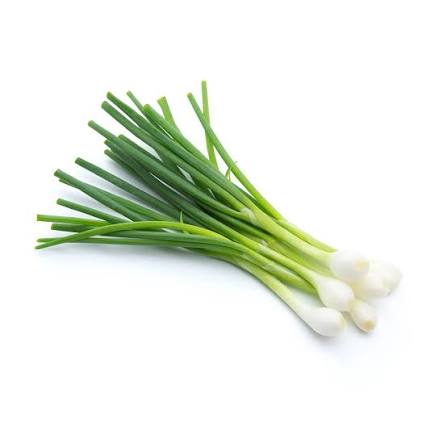 Scallion