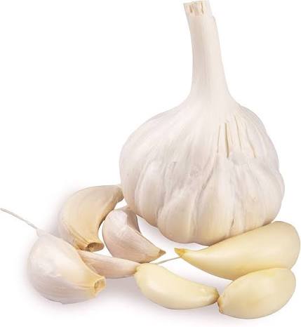 Garlic