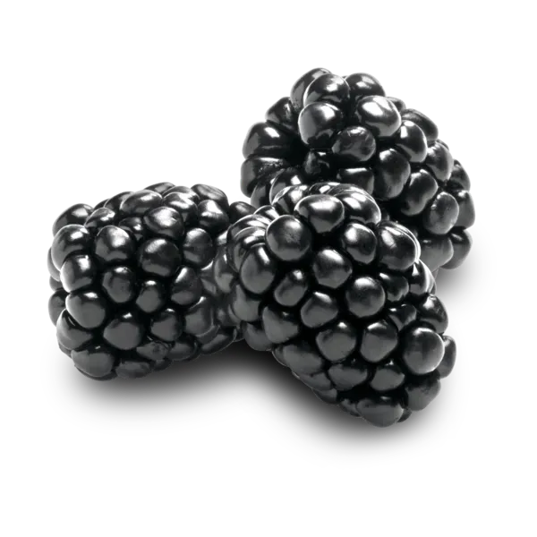 Blackberries (pack)
