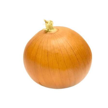 Onion